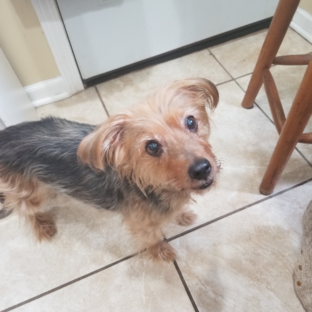POSHMARK BOSS